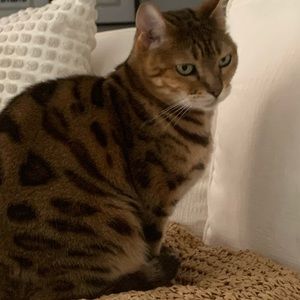 Meet your Posher, Nylah